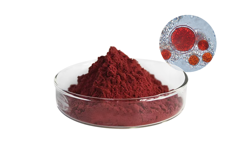 Pure Astaxanthin Powder